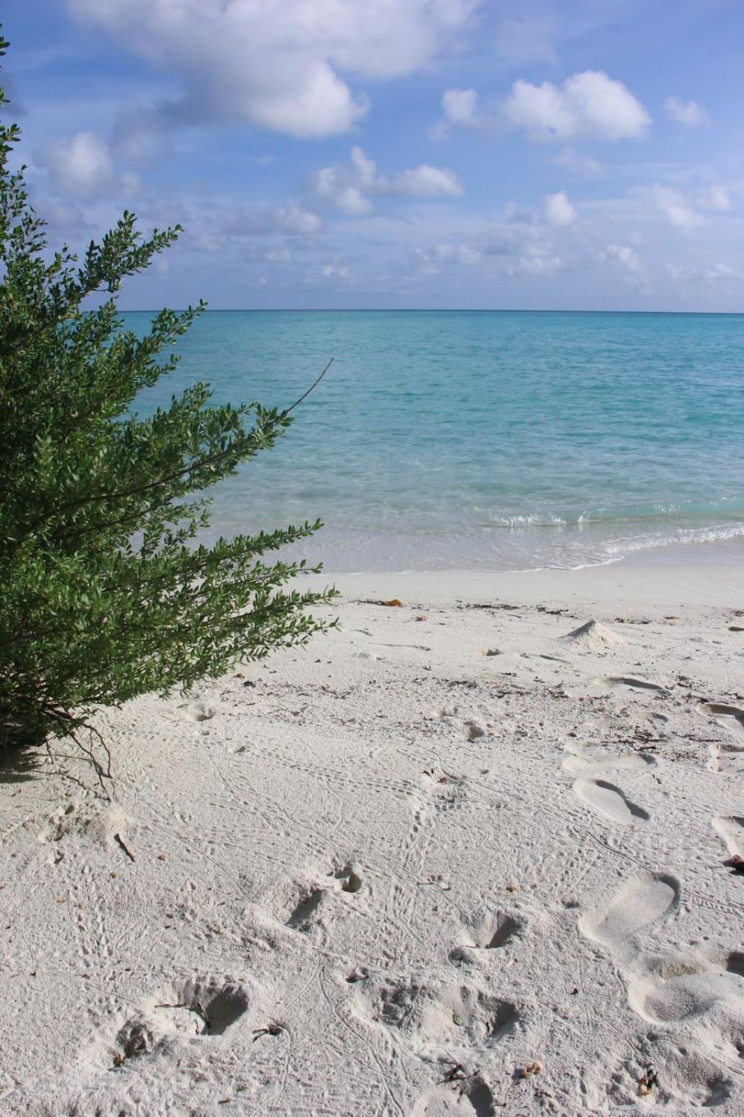 Isla Retreat Hotel Fehendhoo Buitenkant foto